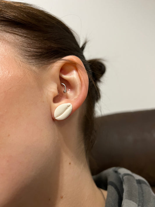 Cowrie Shell Stud Earrings